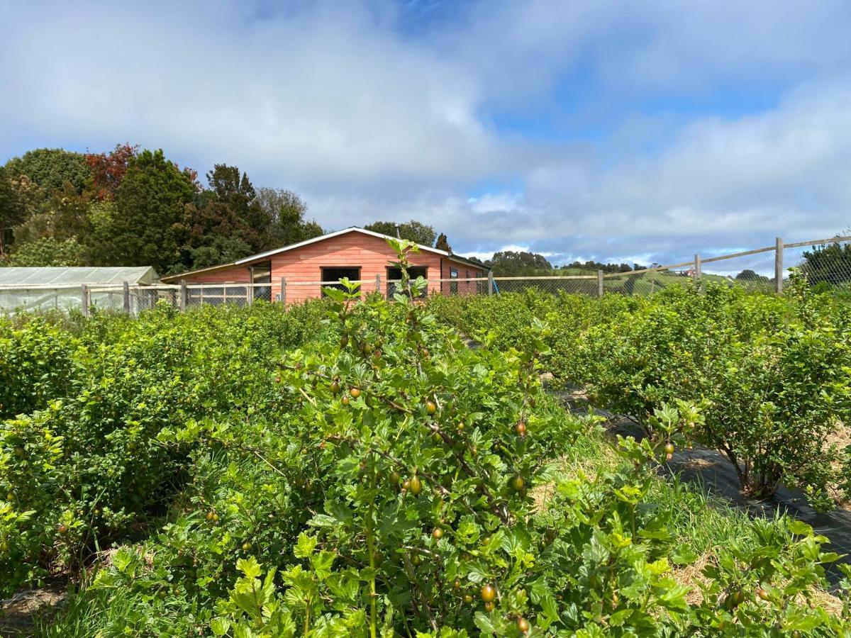 Cabana Nueva En Ancud Chiloe Εξωτερικό φωτογραφία