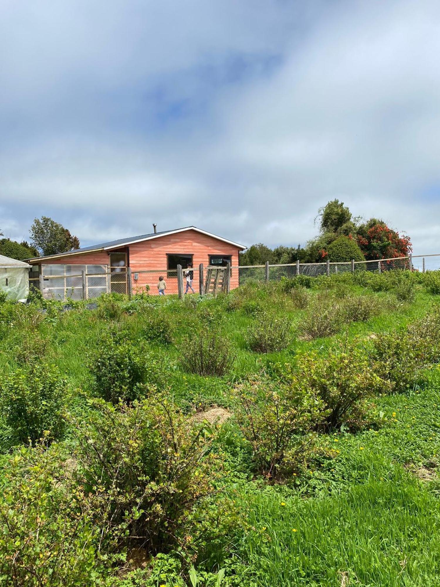 Cabana Nueva En Ancud Chiloe Δωμάτιο φωτογραφία