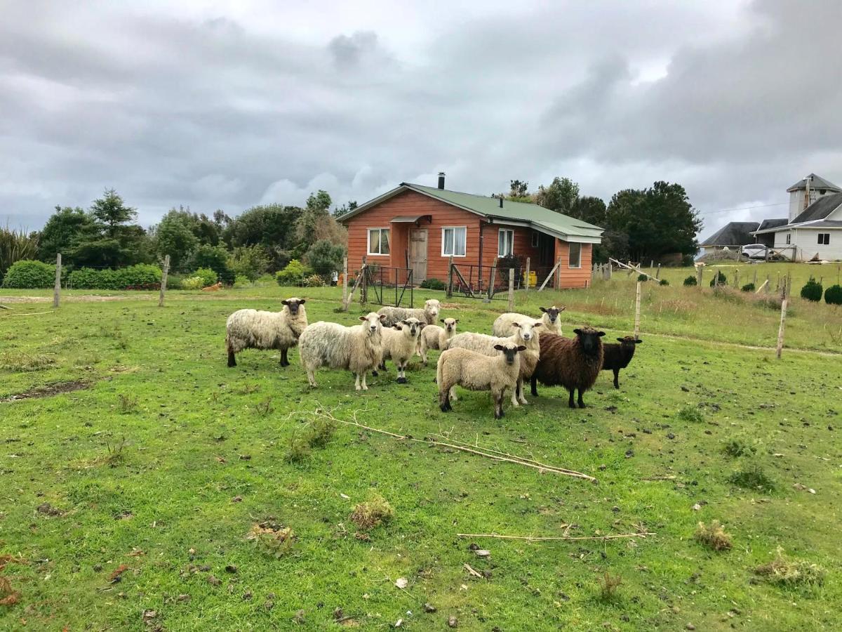 Cabana Nueva En Ancud Chiloe Εξωτερικό φωτογραφία